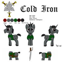 Cold Iron by DSNinja - male, stallion, character sheet, pony, unicorn, unicorn pony, pony oc