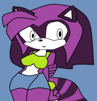 New Submission by lunathewolf321 - female, character, sheet, racoon