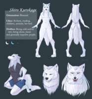 Shiro Kurokage Reference sheet by KibaKurokage - female, wolf, reference sheet