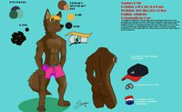 Shaded REF SHEET by sandmancsg - wolf, male, underwear, sheet, ref