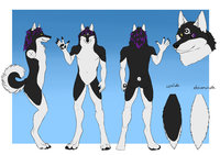 [COM] Charactersheet - Sephius by Nyx - husky, male, charactersheet, nyx