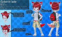 Cyberblade Ref Sheet by Cyberblade - cub, boy, shota, wolf, male, reference sheet, shorts, canine, character sheet, sagging, grey wolf, cargo shorts, visible briefs