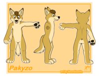 CS of Pakyzo by Pakyto - boy, twin, dingo, brother, cunt, cuntboy, warrigal, pakyzo