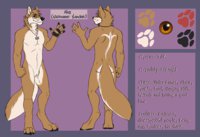 Reference Sheet - by Flynx-Flink by Xanderblaze - male, reference sheet, folf