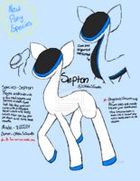 Septon-READ DESCRIPTION! by OfeliaSkits - pony