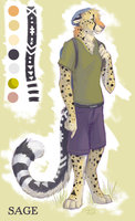 Sage Cheetah by SilentRavyn - big, cat, feline, anthro, tribal, cheetah, casual, hippie, spot, sage, triangle, vegan