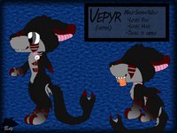 ☆ Vepyr The Shark Mutt ☆ by XxBayBayxX - cute, male, anthro, shark/wolf, vepyr
