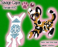 ☆ Savage Caper ☆ by XxBayBayxX - cute, female, wild, reference, african wild dog, savage, caper