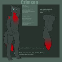 Calliff Reference sheet by Calliff - wolf, male, reference sheet