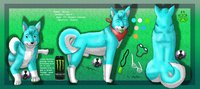 Axxion RefSheet by CatwingFluffypaw - dog, husky, male, canine, feral, refsheet