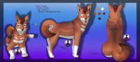 shyeda refsheet by CatwingFluffypaw - dog, female, wolf, canine, feral, refsheet