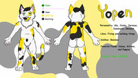 Oooollld Reference sheet by Yopen - cat, male