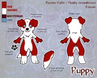 Stompy Ref Sheet - Puppy by Werepuppy - cute, female, husky, border collie, paw, feet, foot, paws, leg, legs, toes, barefoot, hindpaw, footpaw