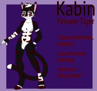☆ Kabin ☆ by XxBayBayxX - female, tiger, anthro, reference, kabin