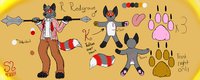 R Redgrave by darkslayer66Syxx - dog, raccoon, male, r, demigod, raccoon dog, redgrave