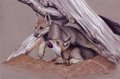 Wolf Cubs by korrok