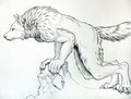 Werewolf Leaning by Myenia