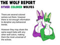 The Wolf Report by Domafox