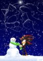 Shadow and the Snowman