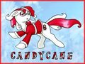 Candycane pony