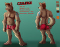 Colfax Reference Sheet by Colfax