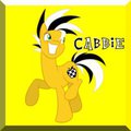 Ponycon NYC - Cabbie