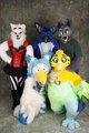 KY Furs at MFF 2014 by archeus68
