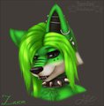 [Gift] Zaieve