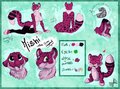 Mishi, Snow Leopard - Ref Sheet by KaotikJuju