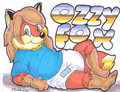 Ozzy Furry Fiesta 11 Cub Badge
