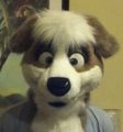 Ace fursuit by AceRover