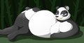 Panda Babe? by WaffleFox