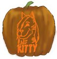 Jack-O-Lantern Badge -Kitty