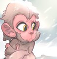 Snow_monkey by xepxyu