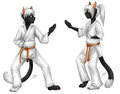 Karate Twins (by Vilani)