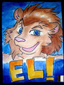 Eli Lion badge RF 2014