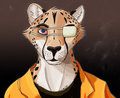 Prison Cheetah