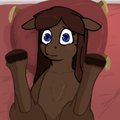 Brown pony with legs up