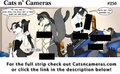 Cats n Cameras Strip - #250 Mistress Josie