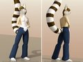 3D Kendall model by Anthroanim!