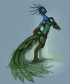 Peacock Gryphon Anthro Concept