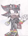 Sonic next-Shadow