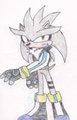 Sonic next-Silver