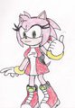 Sonic next-Amy