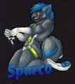 Sparco Badge