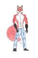 Kayden Aerofox by KaydenAerofox
