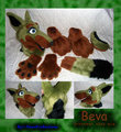 Beva partial by Paws