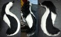 Large Tail - Black and White - 2 ft. in length