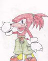 sonic next- Knuckles