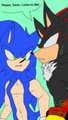 Shadow: Please, Sonic, Listen to Me!